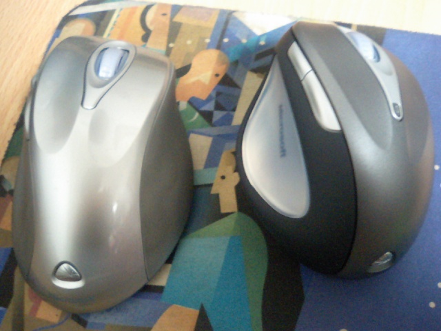 Image:20070129FirstShot2007.jpg