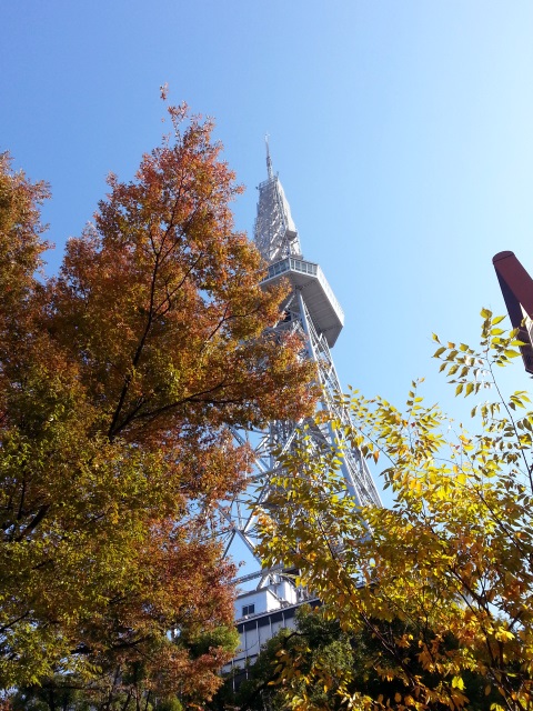 Image:20131124NagoyaAutum.jpg