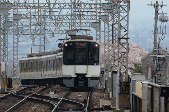 Image:D7100/20140429SAKURA2014.jpg