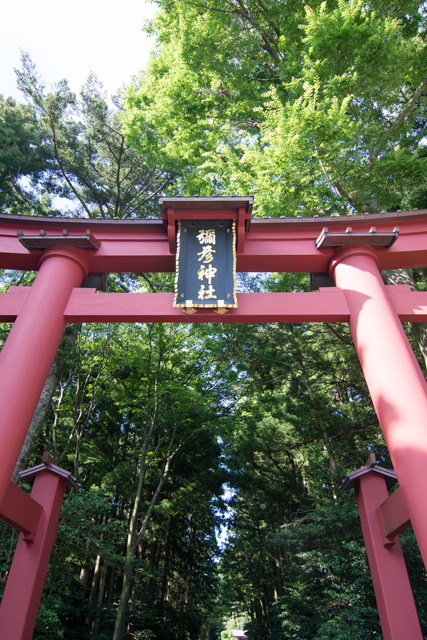 Image:D7100/20171031YAHIKO-JINJA.jpg